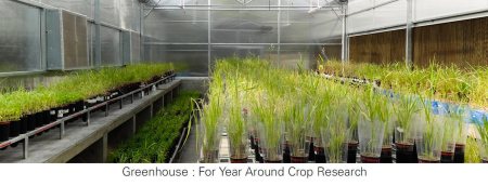 greenhouse suppliers in India